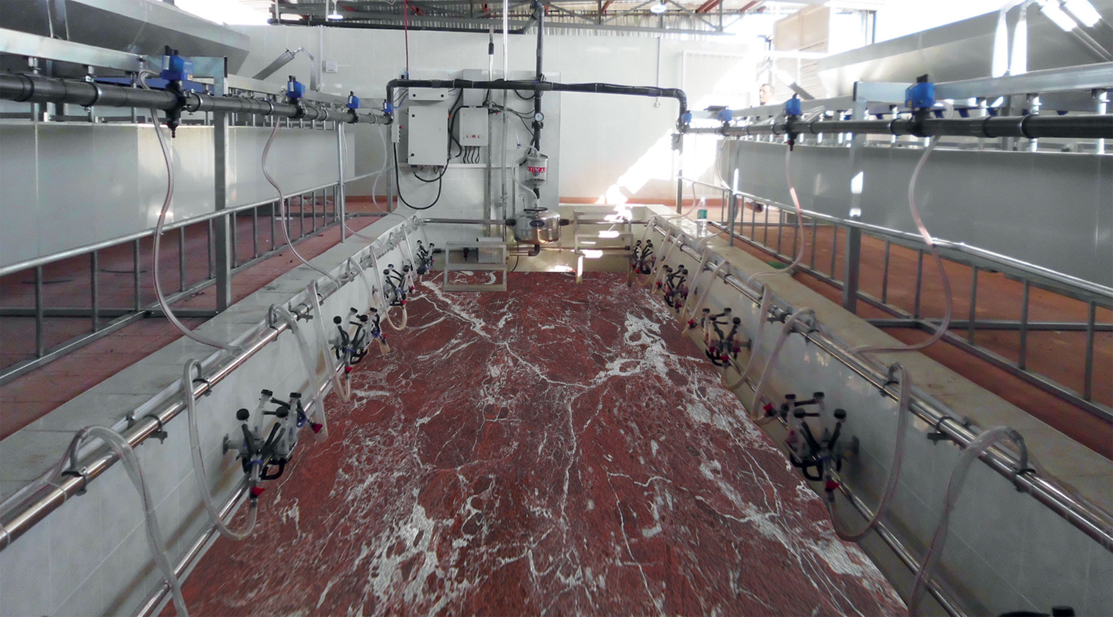 Imagen del producto: Gençtar Sistemas de ordeño · GNC-SS-002